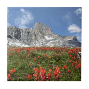 Carreau En Céramique Banner Peak Fleurs sauvages - Ansel Adams Wilderne