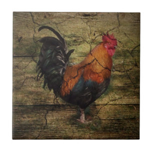 Carreau En Céramique Barn Wood Chicken french country rooster