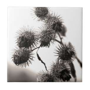 Carreau En Céramique Barrage sec