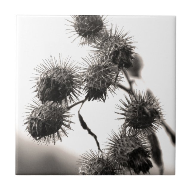 Carreau En Céramique Barrage sec (Devant)