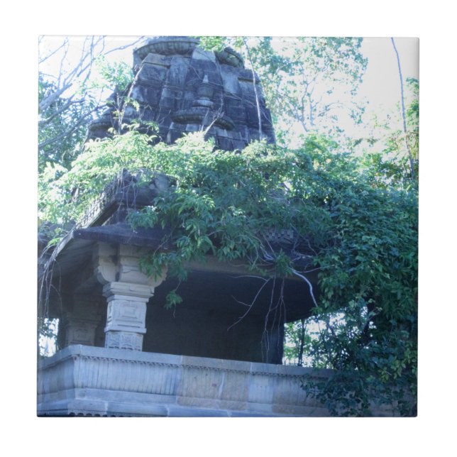 Carreau En Céramique Bâtiment Jungle (Devant)