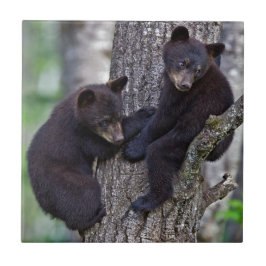 Carreau En Céramique Bear Twins Tree Escalade Branches Cute Animals Art