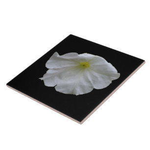 Carreau En Céramique Beau Carrelage blanc Petunia