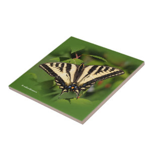Carreau En Céramique Beau papillon de l'Ouest de Tigre Swallowtail