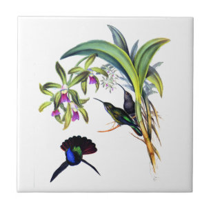 Carreau En Céramique Beaux colibris et orchidées pourpres