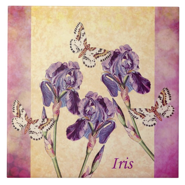 Carreau En Céramique Beaux fleurs et papillon pourpres d'iris (Devant)