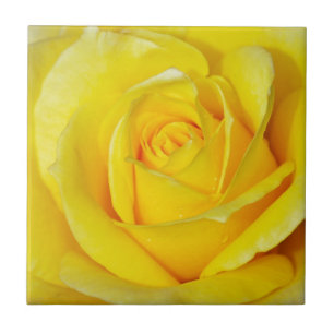 Carreau En Céramique Beaux pétales de rose jaunes