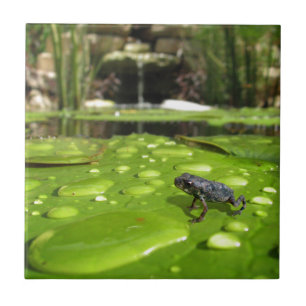 Carreau En Céramique Bébé crapaud dans l'étang