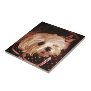 Carreau En Céramique Bébé dans un sac Maltais Puppy Tile