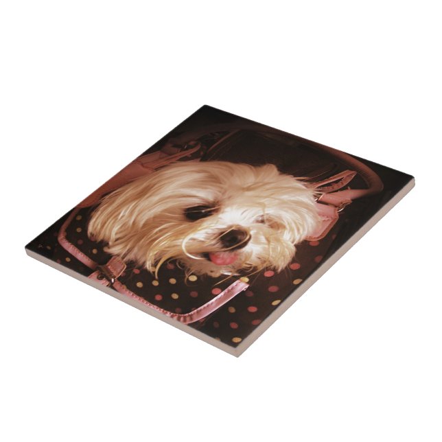 Carreau En Céramique Bébé dans un sac Maltais Puppy Tile (Côté)