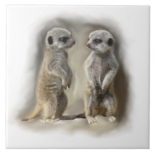 Carreau En Céramique bébés de meerkat