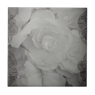 Carreau En Céramique Bégonie blanche