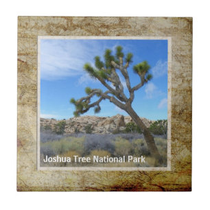 Carreau En Céramique Belle Tuile Joshua Tree !