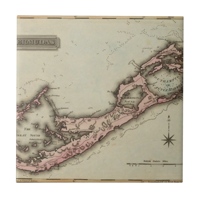 Carreau En Céramique Bermudas (Devant)