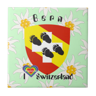 Carreau En Céramique Berne Berne Berna Suisse Fliese