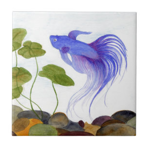 Carreau En Céramique Betta fish