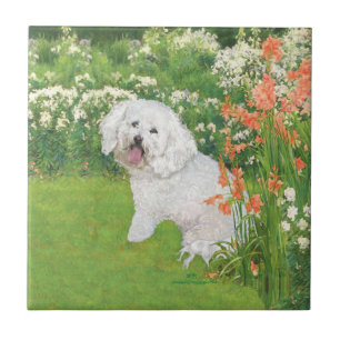 Carreau En Céramique Bichon Frise Fantaisie Corail