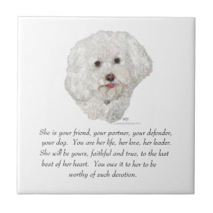 Carreau En Céramique Bichon Frise Souvenir FEMELLE