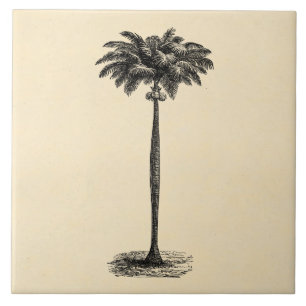Carreau En Céramique Blanc tropical vintage de modèle de palmier d'îl