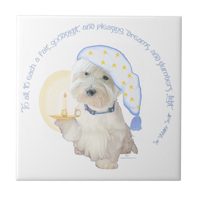 Carreau En Céramique Bleu (Devant)