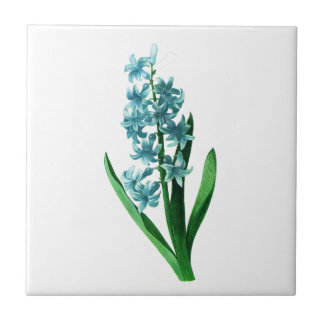 Carreau En Céramique Blue Hyacinth par Pierre Joseph Redoute