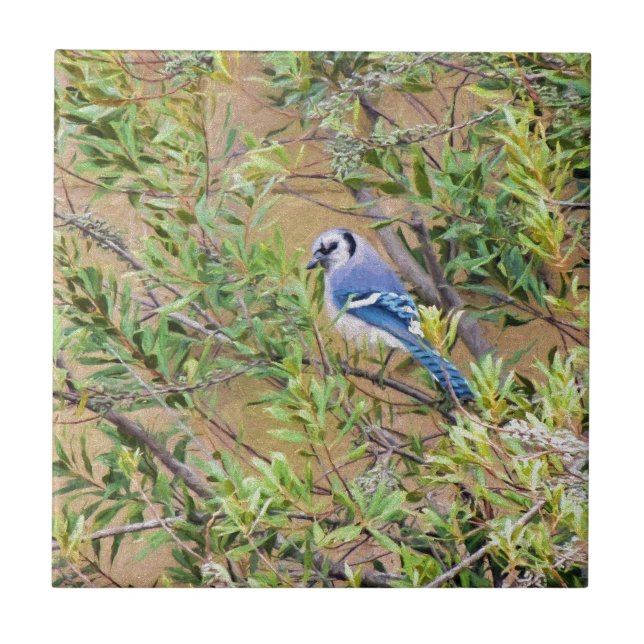 Carreau En Céramique Blue Jay sur Southern Wax Myrtle (Devant)