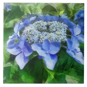 Carreau En Céramique Blue Lace Casquette Hydrangea Let's Dance Starligh