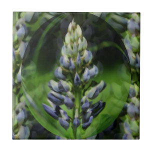 Carreau En Céramique Blue Lupine Flower Art Abstrait