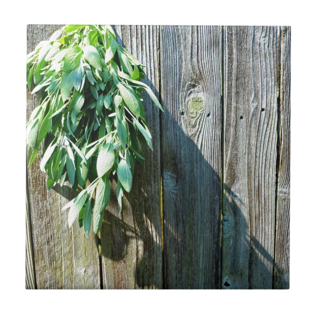 Carreau En Céramique Bois de Grange frais coupé (Devant)