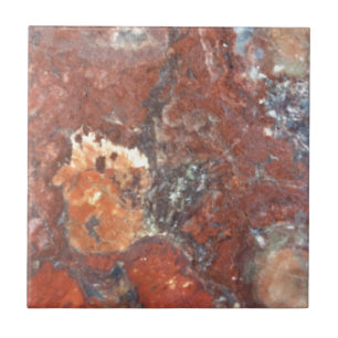 Carreau En Céramique Bois Petrified d'AZ