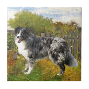 Carreau En Céramique Border Collie sur la ferme