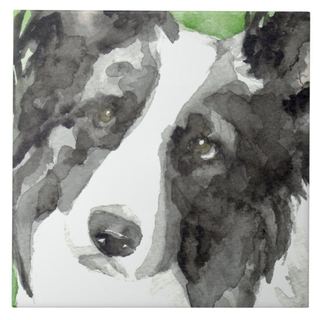 Carreau En Céramique Bordure Collie Aquarelle (Devant)
