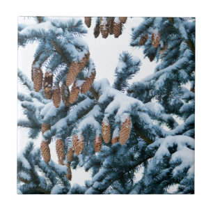 Carreau En Céramique Boughs et cônes couverts de neige