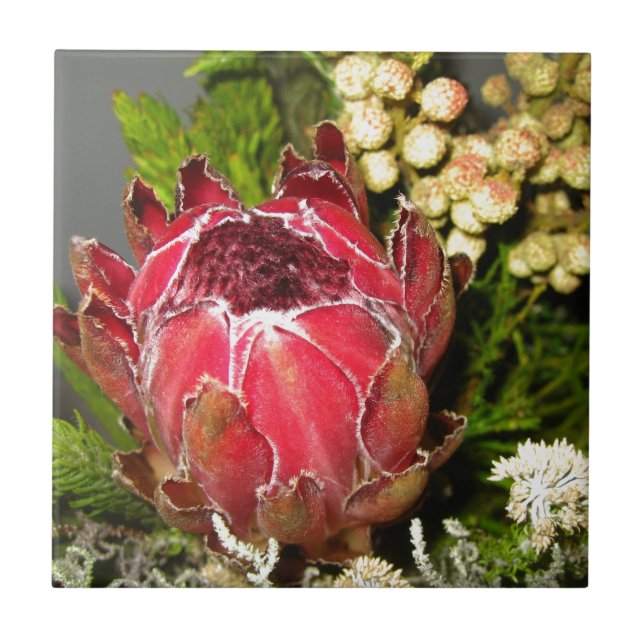 Carreau En Céramique Bouquet de Protea (Devant)