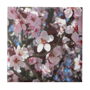 Carreau En Céramique Branche de fleurs roses Printemps Floral