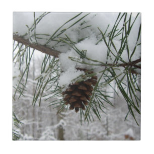 Carreau En Céramique Branche des pins neigeux Photographie de la nature