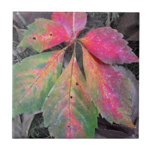 Carreau En Céramique Brillant parmi le gris - feuille d'automne