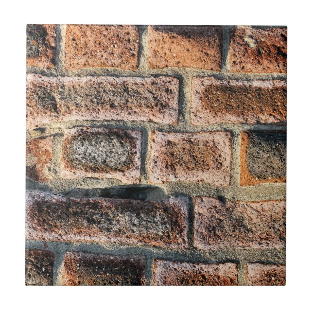 CARREAU EN CÉRAMIQUE BRIQUES (Devant)