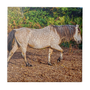 Carreau En Céramique Bucskin Nouvelle Forêt Pony Faune