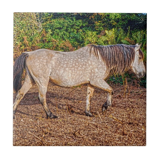Carreau En Céramique Bucskin Nouvelle Forêt Pony Faune (Devant)