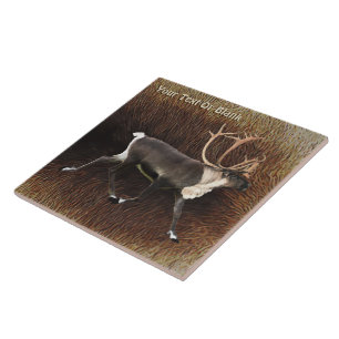 Carreau En Céramique Bull Caribou (Reindeer)
