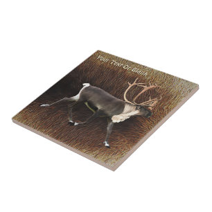 Carreau En Céramique Bull Caribou (Reindeer)