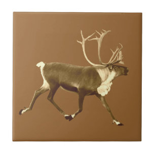 Carreau En Céramique Bull Caribou - Sepia