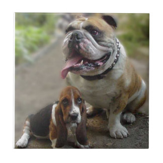 Carreau En Céramique Bulldog et BabyBassett