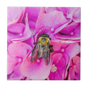 Carreau En Céramique Bumble Bee Sur Hydrangea