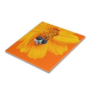 Carreau En Céramique Bumblebee sur Cosmos