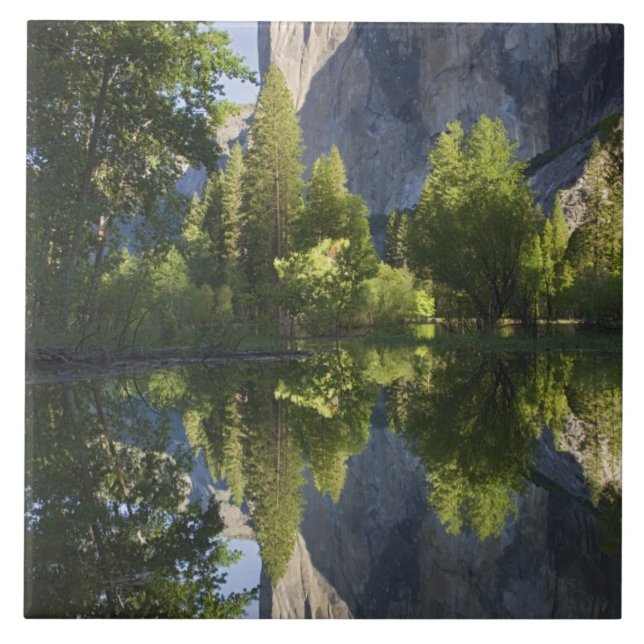 Carreau En Céramique CA, Parc national de Yosemite, El Capitan reflété  (Devant)