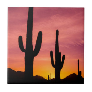 Carreau En Céramique Cactus du Saguaro au lever du soleil, Arizona