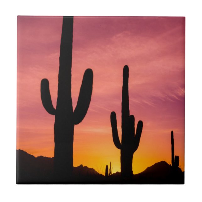 Carreau En Céramique Cactus du Saguaro au lever du soleil, Arizona (Devant)