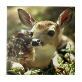 Carreau En Céramique Cadeaux de cerfs de bébés